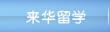 滚球APP