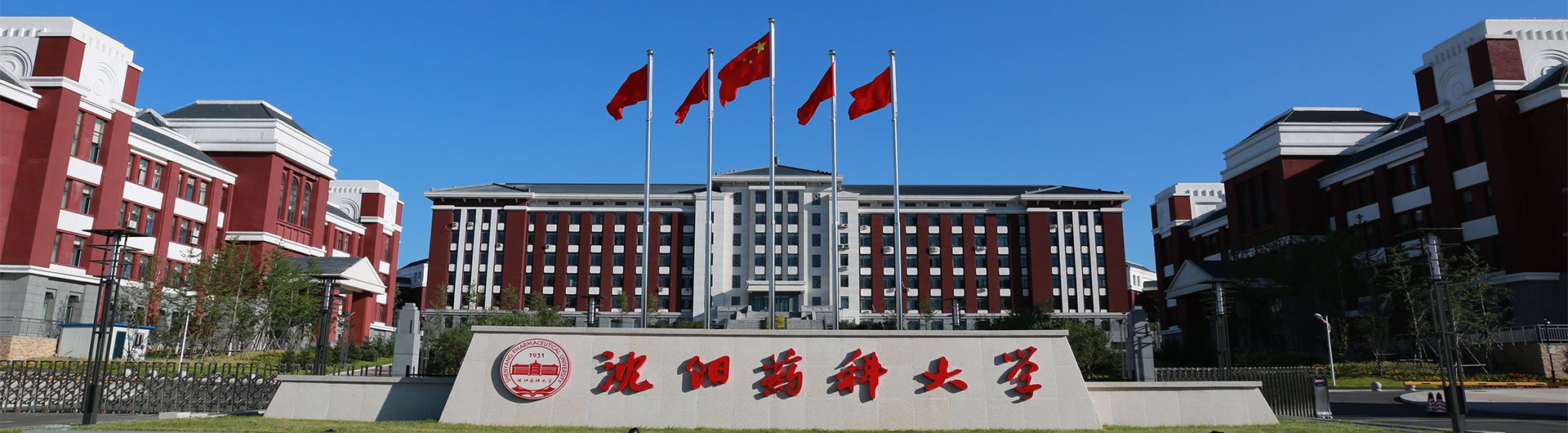 滚球APP官网入口成功举办2025年