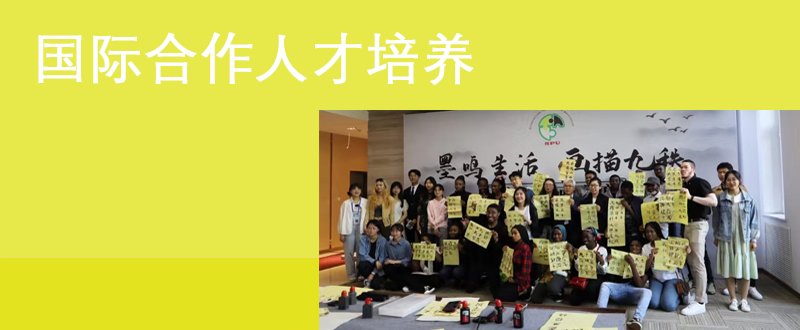滚球体育术语最新版下载