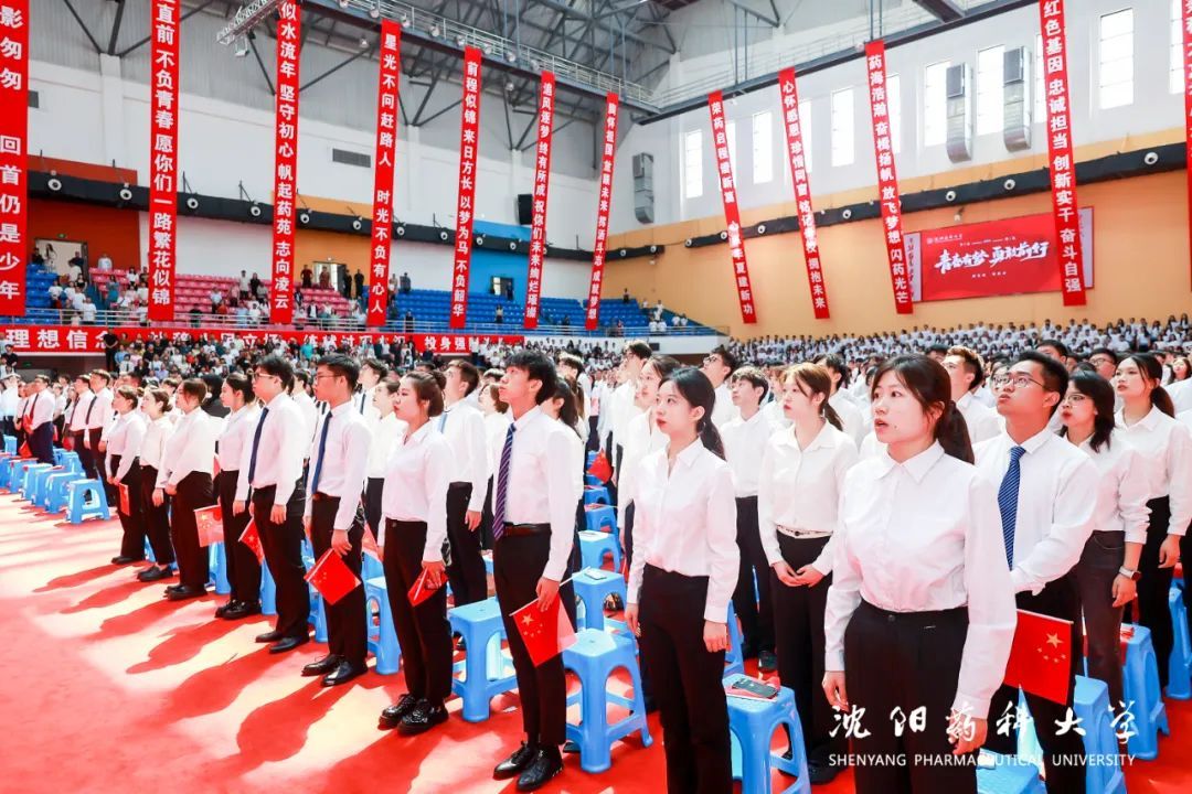 未来乘风破浪