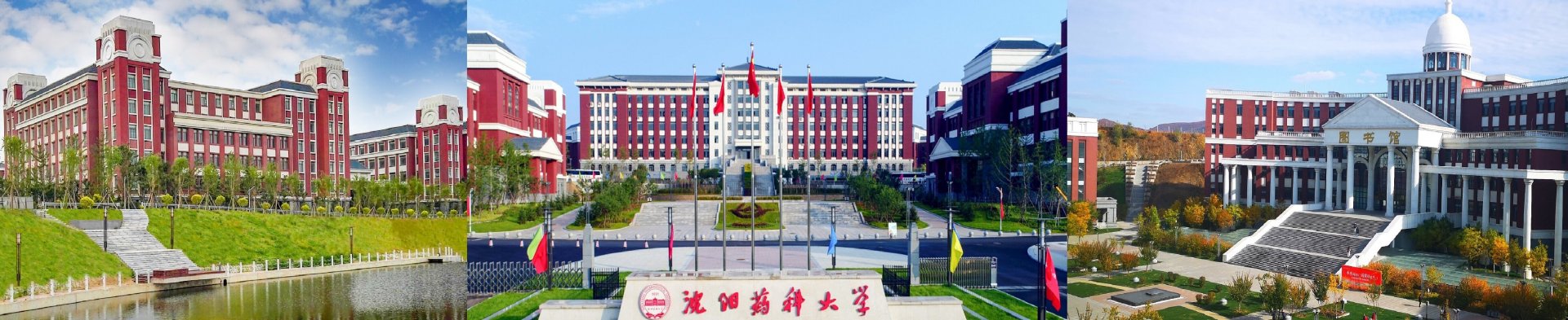 辽宁省沈阳市沈河区文化路103号 |