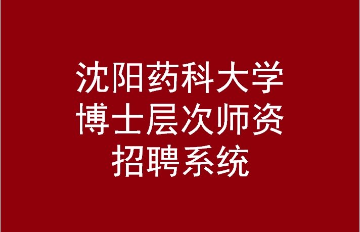 辽宁省沈阳市沈河区文化路103号 |