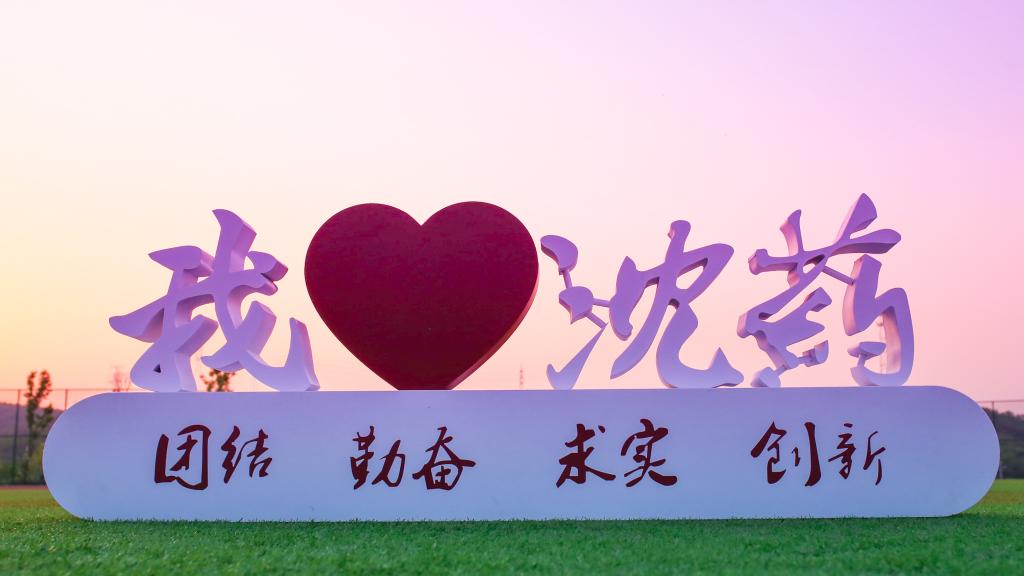 欧洲杯官方合作伙伴滚球体育术语官宣