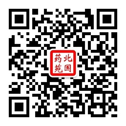 欧洲杯官方合作伙伴滚球体育术语官宣